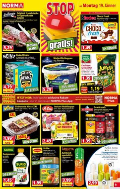 Norma Flugblatt (ab 19.01.2026) - Angebote und Prospekt - Seite 9