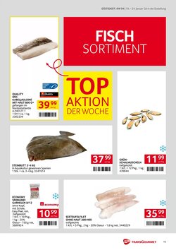 Transgourmet Flugblatt (ab 19.01.2026) - Angebote und Prospekt - Seite 13