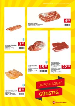 Transgourmet Flugblatt (ab 19.01.2026) - Angebote und Prospekt - Seite 3