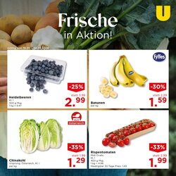 Unimarkt Flugblatt (ab 19.01.2026) - Angebote und Prospekt