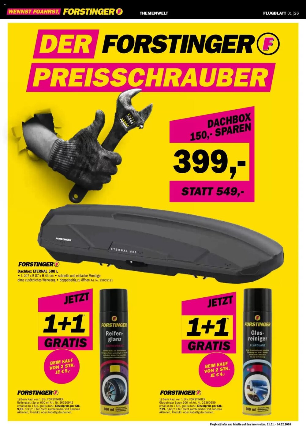 Forstinger Flugblatt (ab 21.01.2026) - Angebote und Prospekt - Seite 12