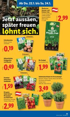 Lidl Flugblatt (ab 22.01.2026) - Angebote und Prospekt - Seite 29