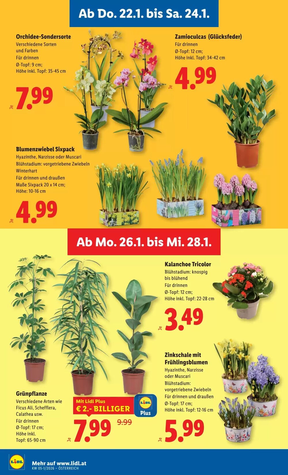 Lidl Flugblatt (ab 22.01.2026) - Angebote und Prospekt - Seite 30