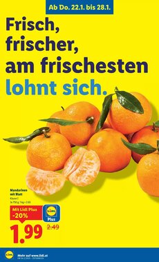 Lidl Flugblatt (ab 22.01.2026) - Angebote und Prospekt - Seite 3