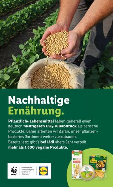 Lidl Flugblatt (ab 22.01.2026) - Angebote und Prospekt - Seite 49