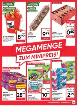 Maximarkt Flugblatt (ab 22.01.2026) - Angebote und Prospekt - Seite 13