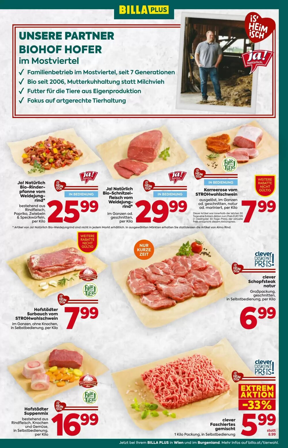 Billa Flugblatt (ab 22.01.2026) - Angebote und Prospekt - Seite 11