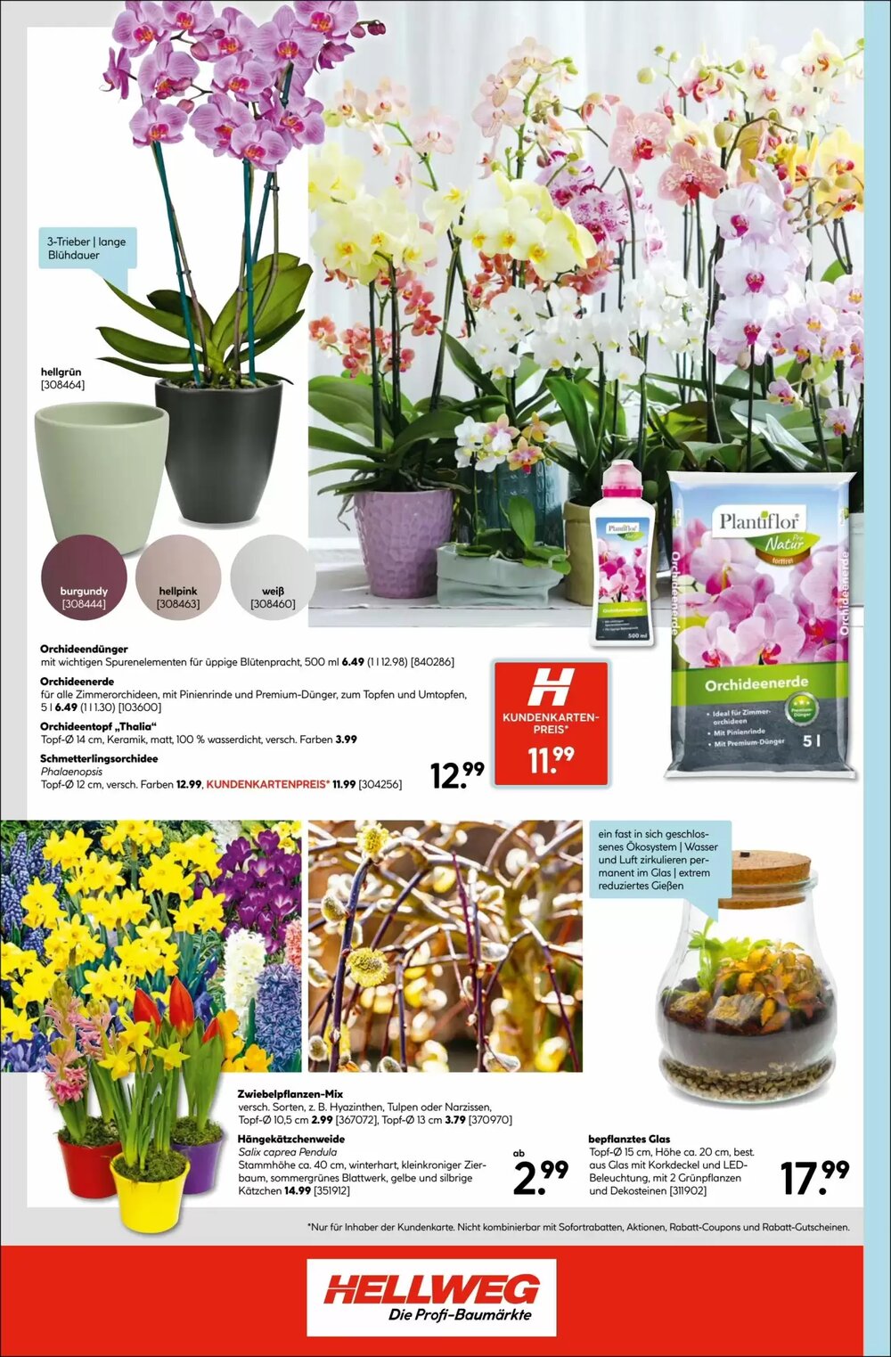 Hellweg Flugblatt (ab 22.01.2026) - Angebote und Prospekt - Seite 16