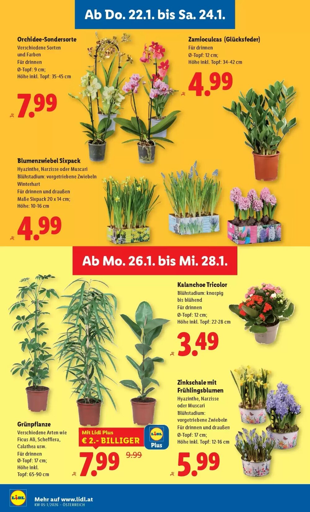 Lidl Flugblatt (ab 22.01.2026) - Angebote und Prospekt - Seite 30