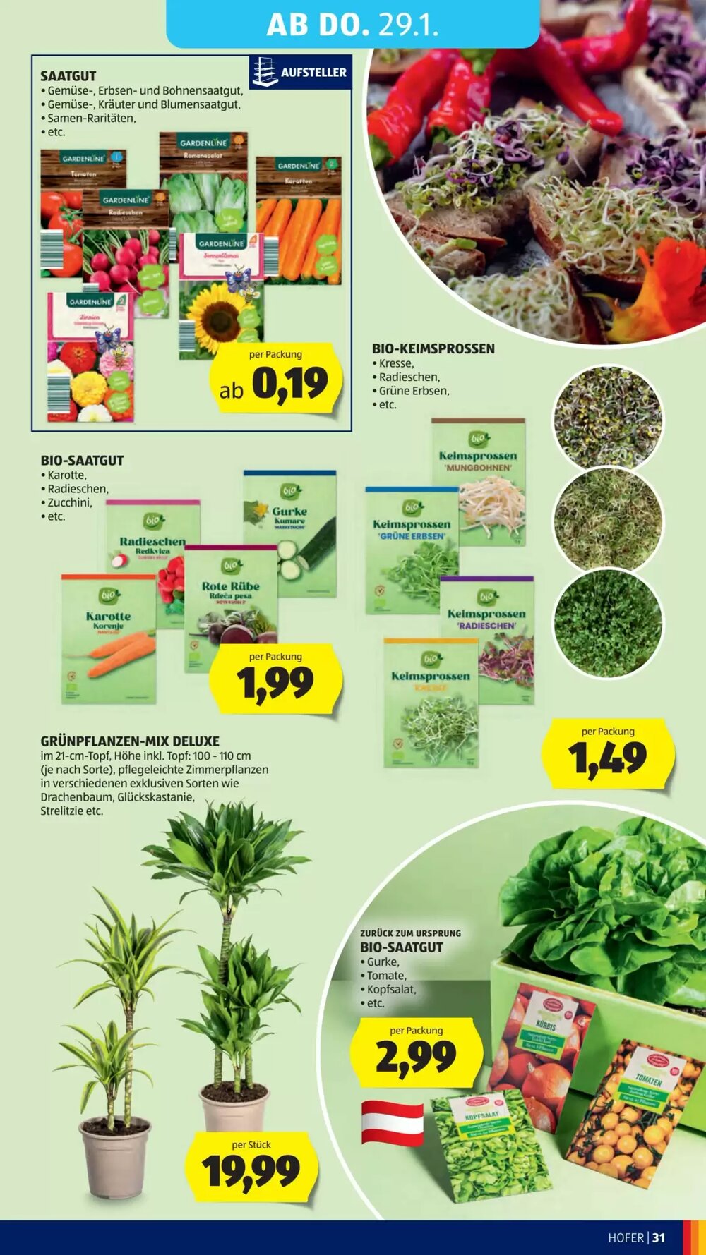 Hofer Flugblatt (ab 23.01.2026) - Angebote und Prospekt - Seite 35