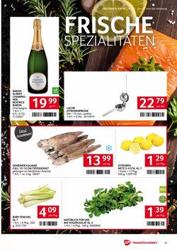 Transgourmet Flugblatt (ab 26.01.2026) - Angebote und Prospekt - Seite 23