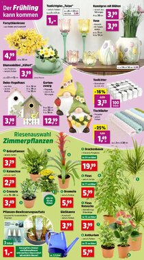 Thomas Philipps Flugblatt (ab 26.01.2026) - Angebote und Prospekt - Seite 4