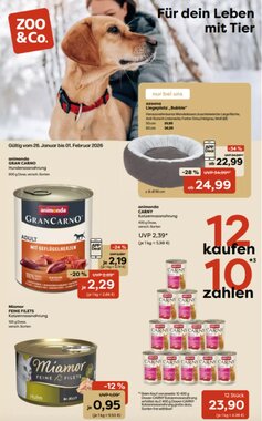 ZOO & Co Flugblatt (ab 26.01.2026) - Angebote und Prospekt