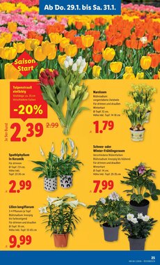 Lidl Flugblatt (ab 29.01.2026) - Angebote und Prospekt - Seite 27