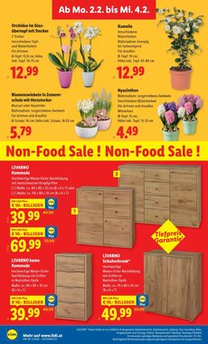 Lidl Flugblatt (ab 29.01.2026) - Angebote und Prospekt - Seite 30