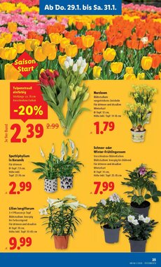Lidl Flugblatt (ab 29.01.2026) - Angebote und Prospekt - Seite 27