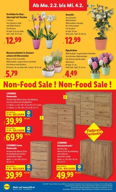 Lidl Flugblatt (ab 29.01.2026) - Angebote und Prospekt - Seite 30