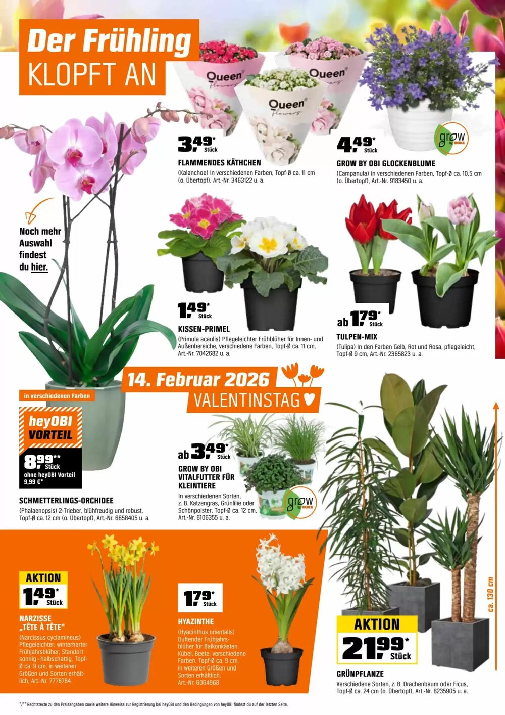 OBI Flugblatt (ab 01.02.2026) - Angebote und Prospekt - Seite 7
