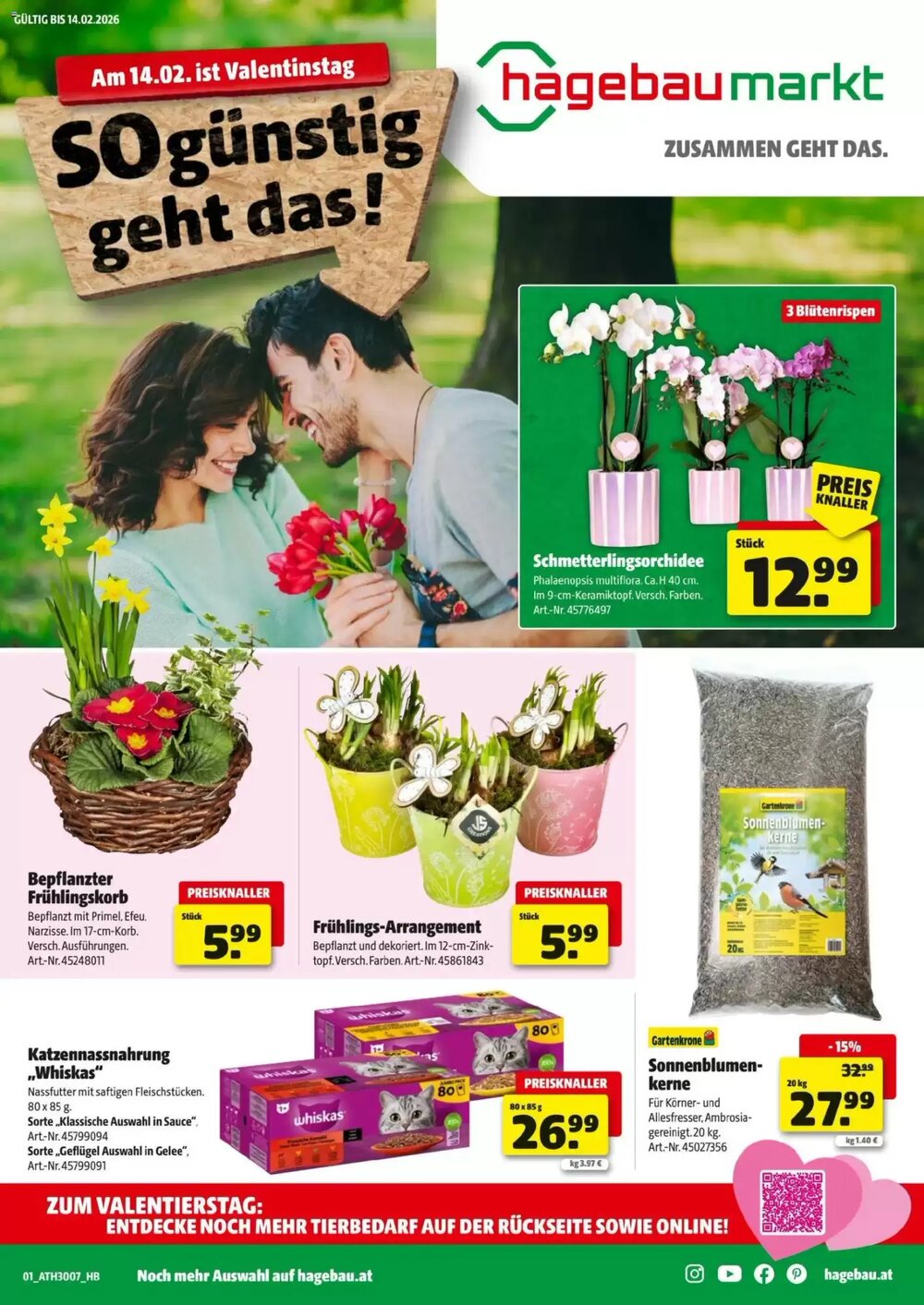 Hagebau Flugblatt (ab 02.02.2026) - Angebote und Prospekt - Seite 1