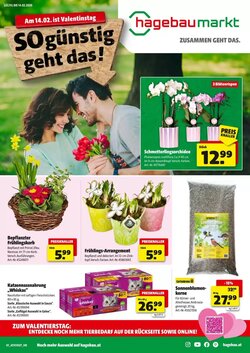 Hagebau Flugblatt (ab 02.02.2026) - Angebote und Prospekt