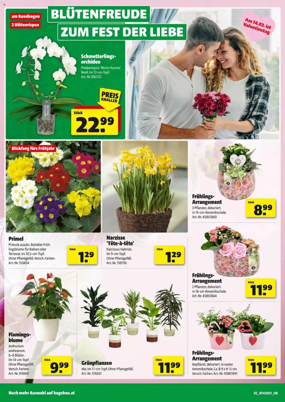 Hagebau Flugblatt (ab 02.02.2026) - Angebote und Prospekt - Seite 2