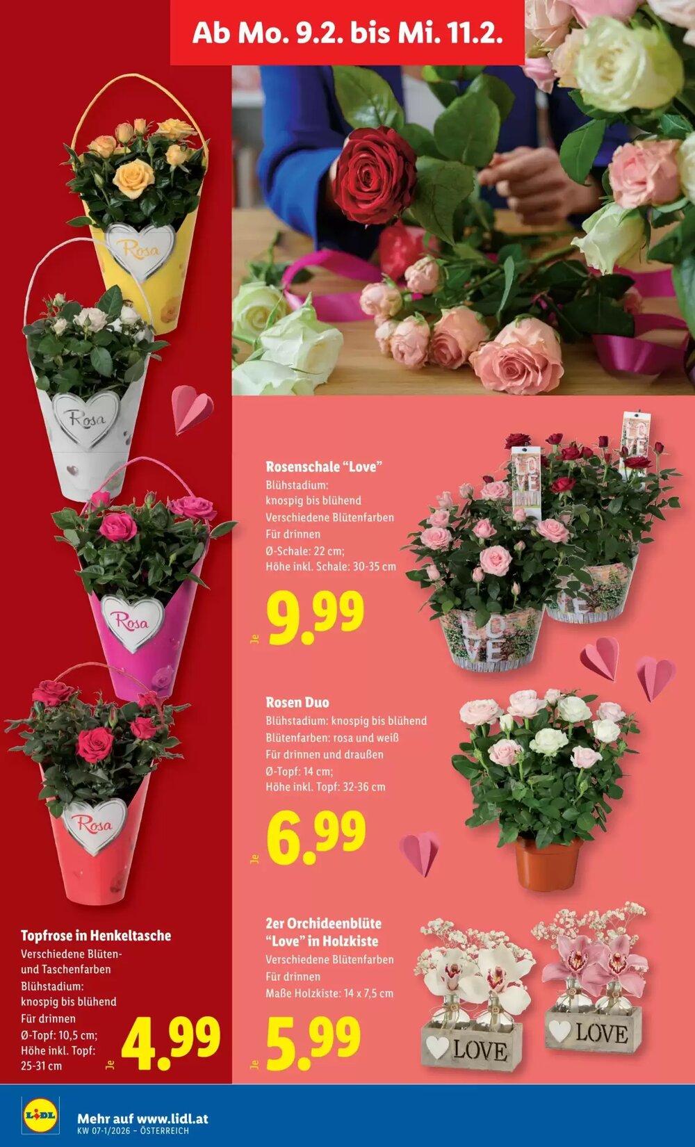 Lidl Flugblatt (ab 05.02.2026) - Angebote und Prospekt - Seite 30