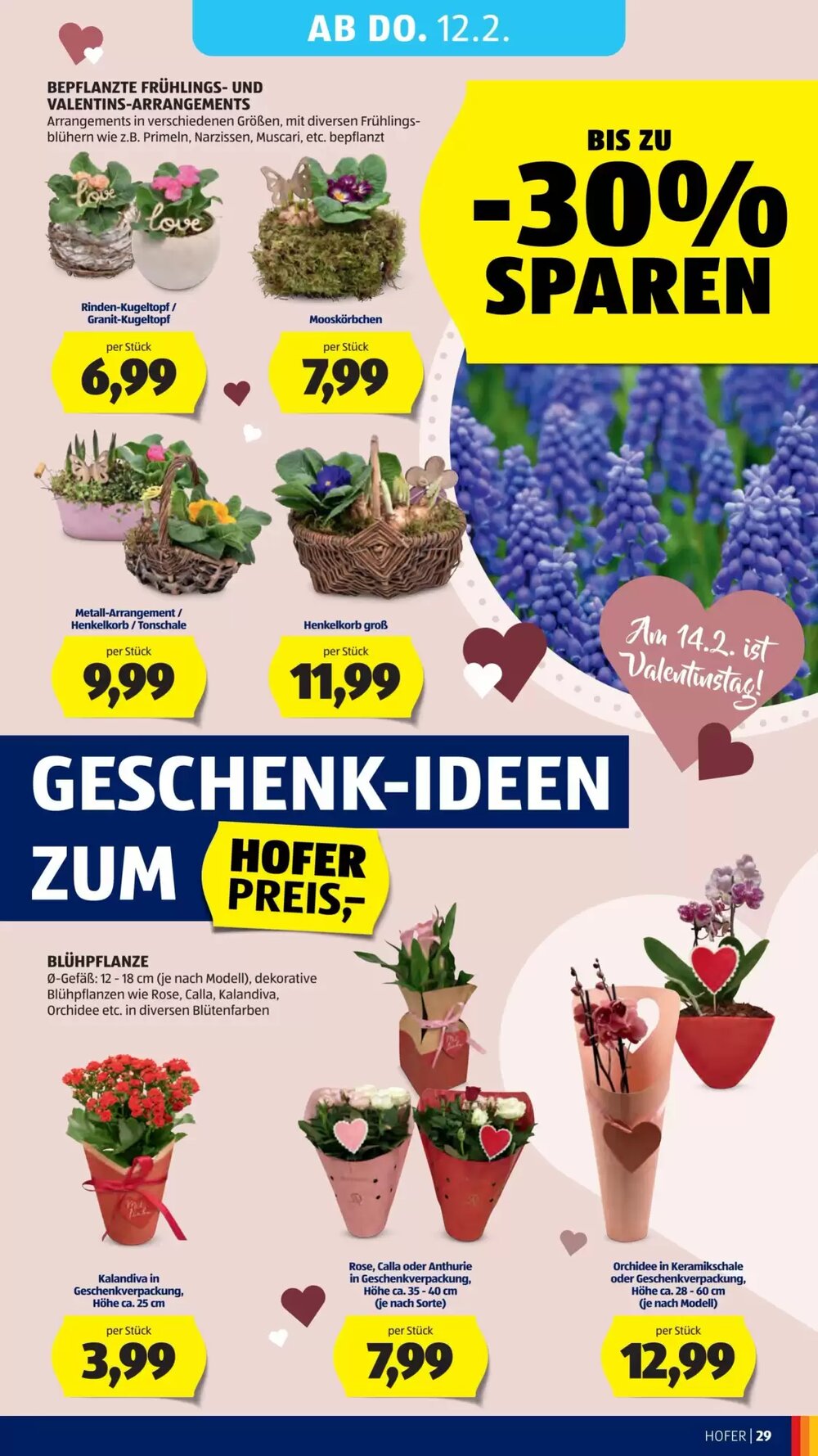 Hofer Flugblatt (ab 06.02.2026) - Angebote und Prospekt - Seite 33