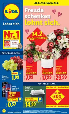 Lidl Flugblatt (ab 12.02.2026) - Angebote und Prospekt