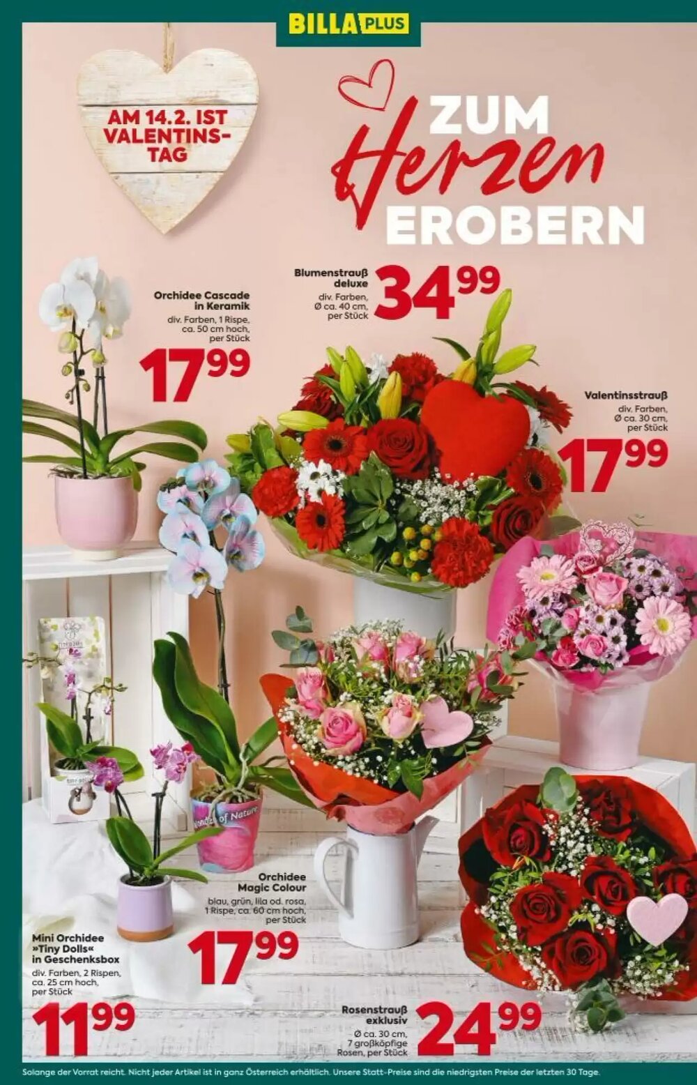 Billa Flugblatt (ab 12.02.2026) - Angebote und Prospekt - Seite 2