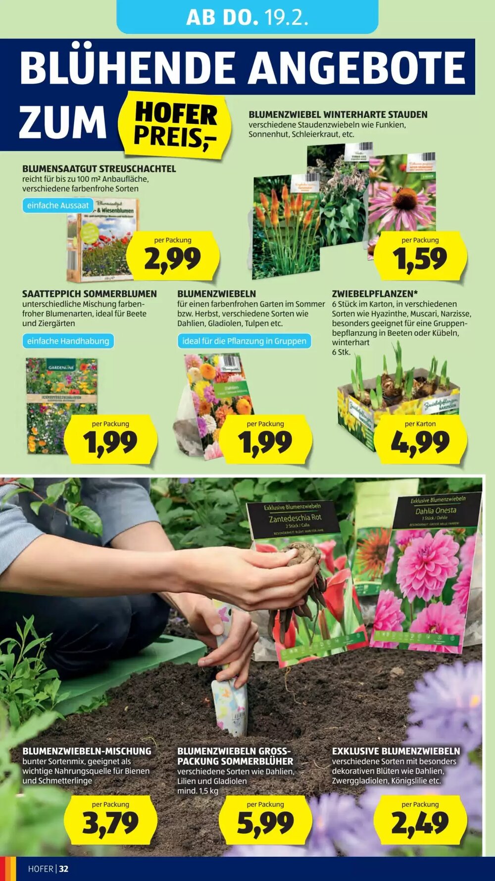 Hofer Flugblatt (ab 13.02.2026) - Angebote und Prospekt - Seite 36