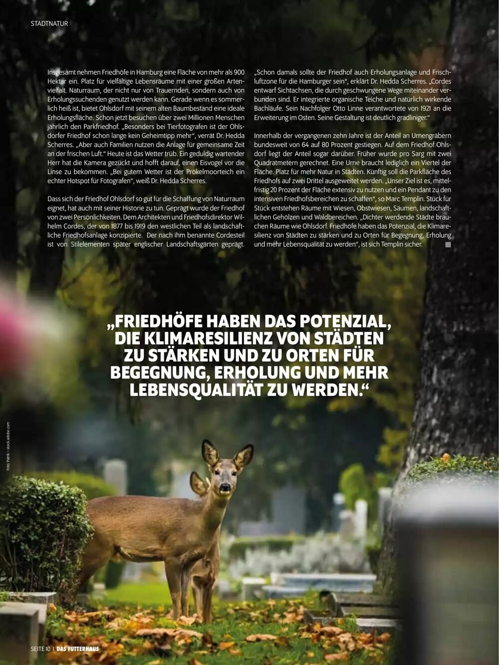 Das Futterhaus Flugblatt (ab 16.02.2026) - Angebote und Prospekt - Seite 10