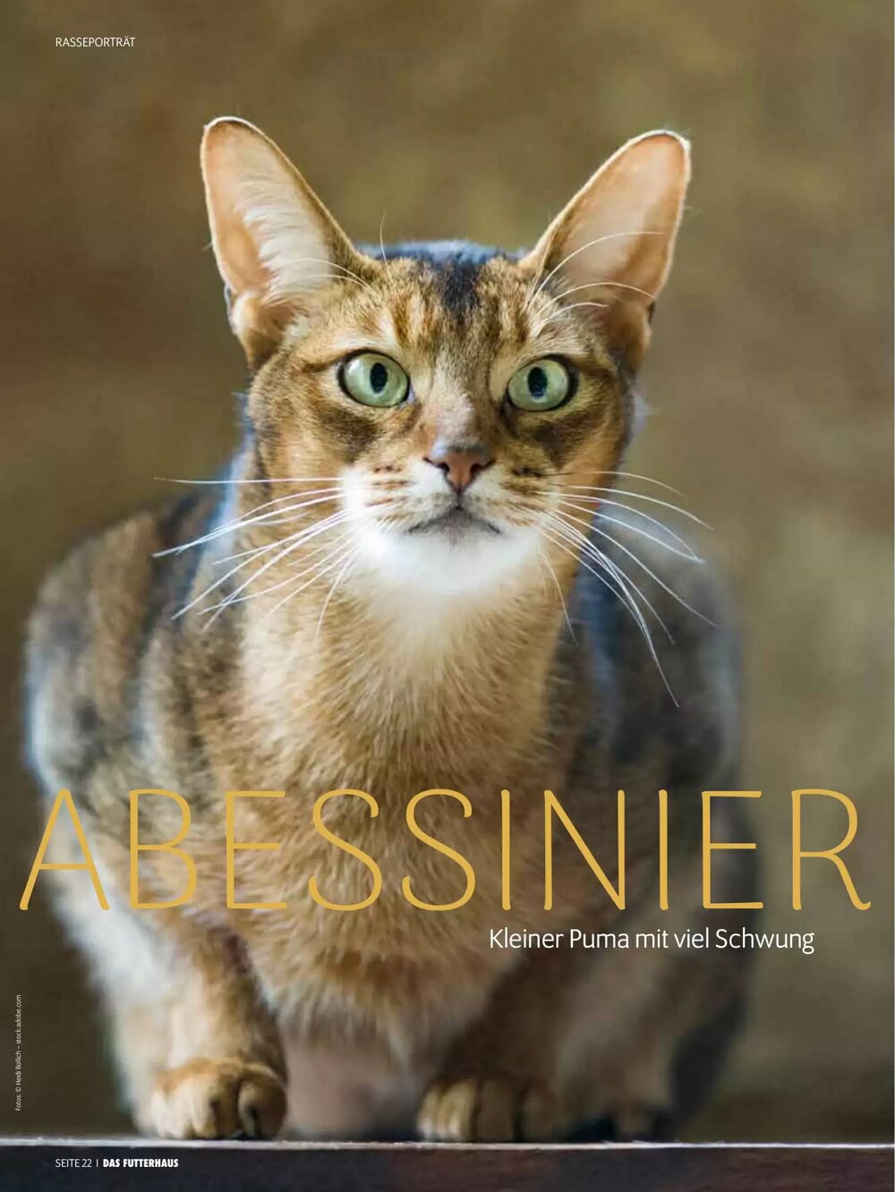 Das Futterhaus Flugblatt (ab 16.02.2026) - Angebote und Prospekt - Seite 22