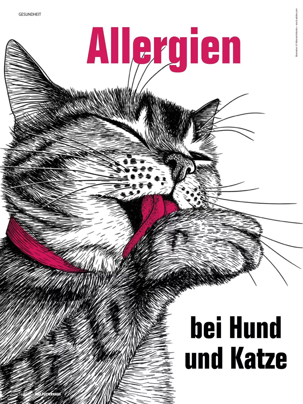 Das Futterhaus Flugblatt (ab 16.02.2026) - Angebote und Prospekt - Seite 26