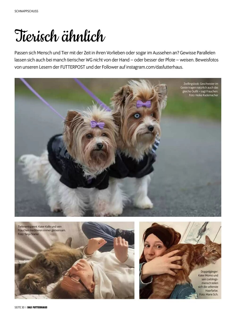 Das Futterhaus Flugblatt (ab 16.02.2026) - Angebote und Prospekt - Seite 30