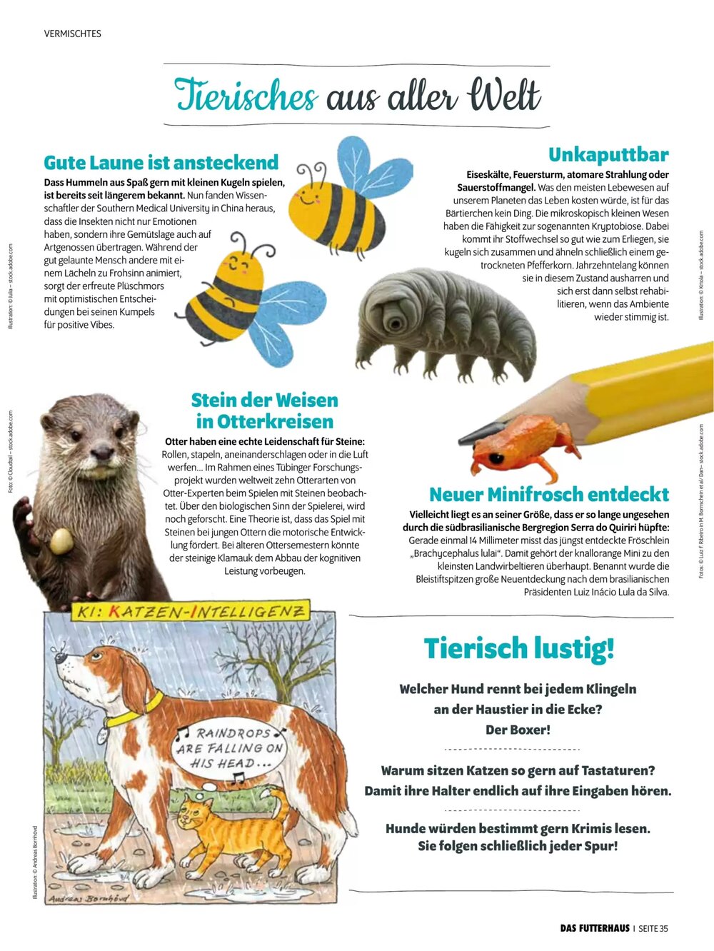 Das Futterhaus Flugblatt (ab 16.02.2026) - Angebote und Prospekt - Seite 35