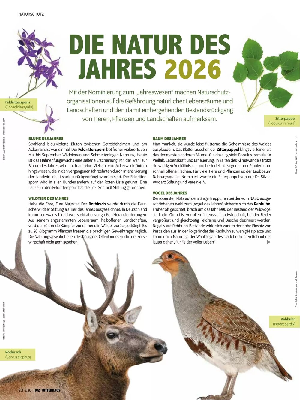 Das Futterhaus Flugblatt (ab 16.02.2026) - Angebote und Prospekt - Seite 36