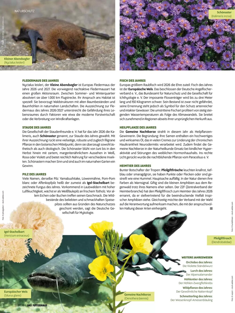 Das Futterhaus Flugblatt (ab 16.02.2026) - Angebote und Prospekt - Seite 38