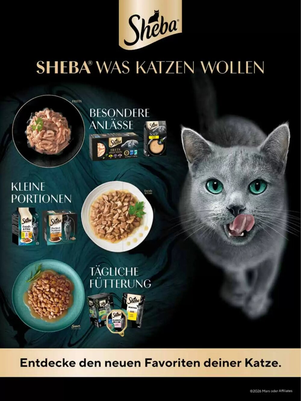 Das Futterhaus Flugblatt (ab 16.02.2026) - Angebote und Prospekt - Seite 39