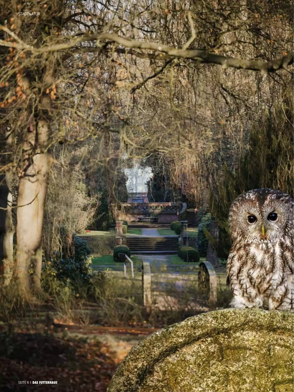 Das Futterhaus Flugblatt (ab 16.02.2026) - Angebote und Prospekt - Seite 6