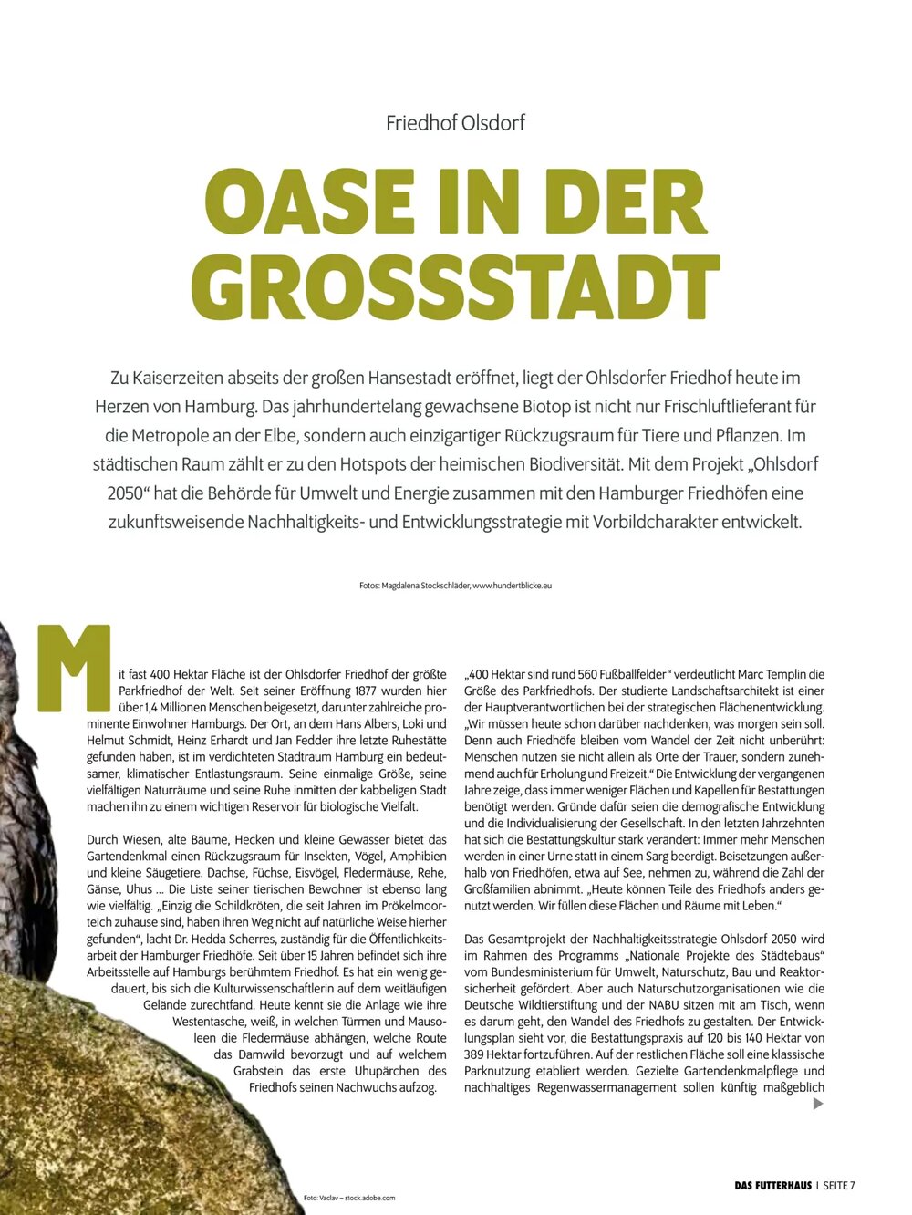 Das Futterhaus Flugblatt (ab 16.02.2026) - Angebote und Prospekt - Seite 7