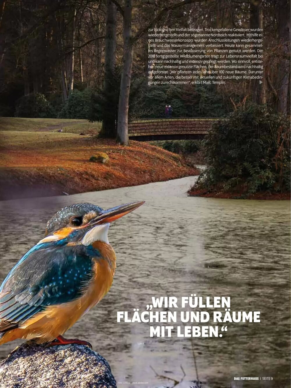 Das Futterhaus Flugblatt (ab 16.02.2026) - Angebote und Prospekt - Seite 9