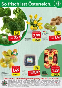 Spar Flugblatt (ab 16.02.2026) - Angebote und Prospekt