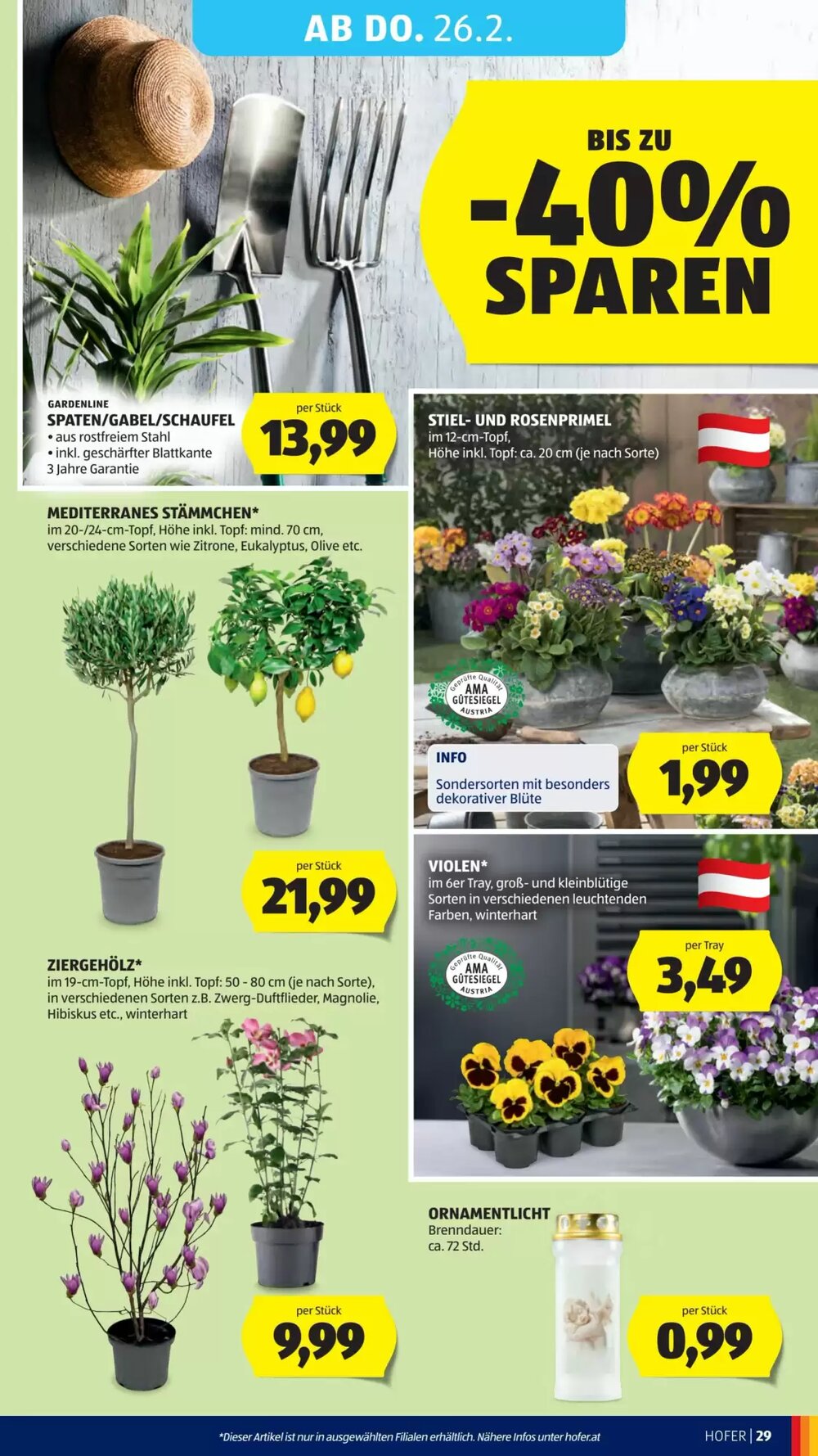 Hofer Flugblatt (ab 20.02.2026) - Angebote und Prospekt - Seite 33