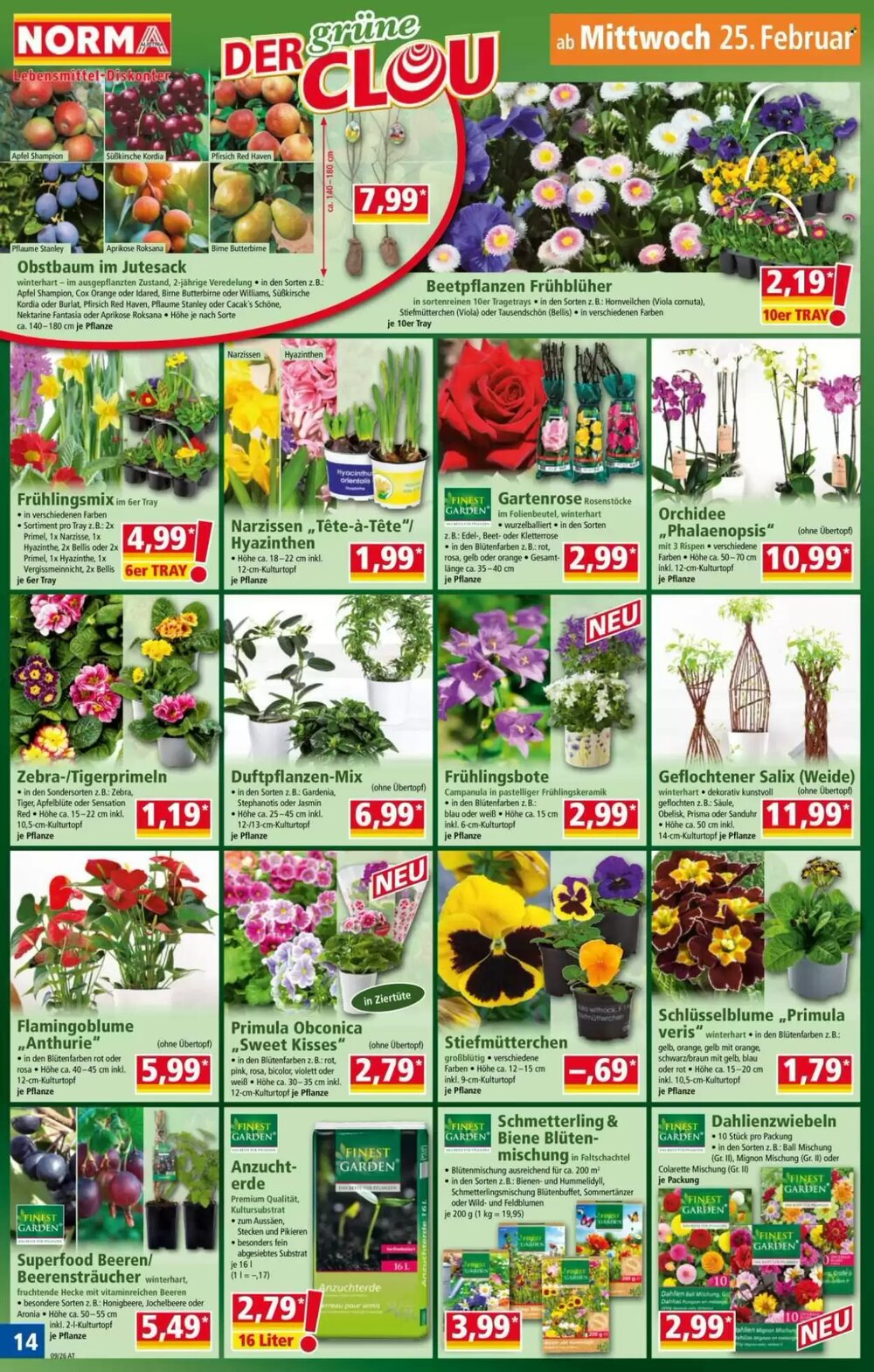 Norma Flugblatt (ab 23.02.2026) - Angebote und Prospekt - Seite 14