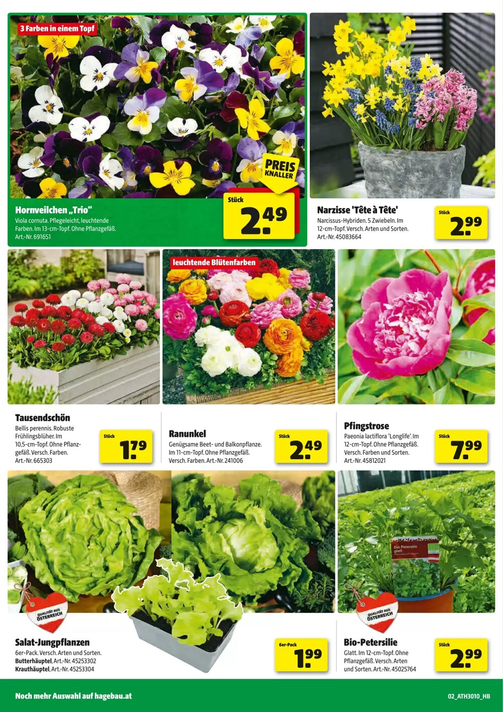 Liebmarkt Flugblatt (ab 24.02.2026) - Angebote und Prospekt - Seite 2