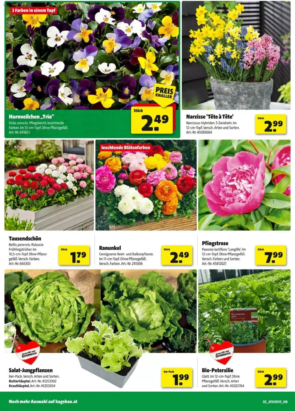 Hagebau Flugblatt (ab 24.02.2026) - Angebote und Prospekt - Seite 2