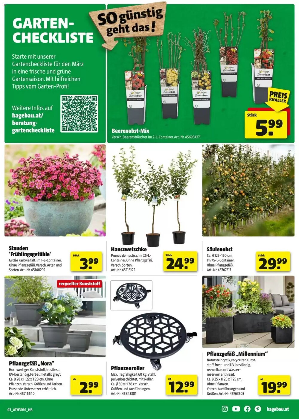 Hagebau Flugblatt (ab 24.02.2026) - Angebote und Prospekt - Seite 3