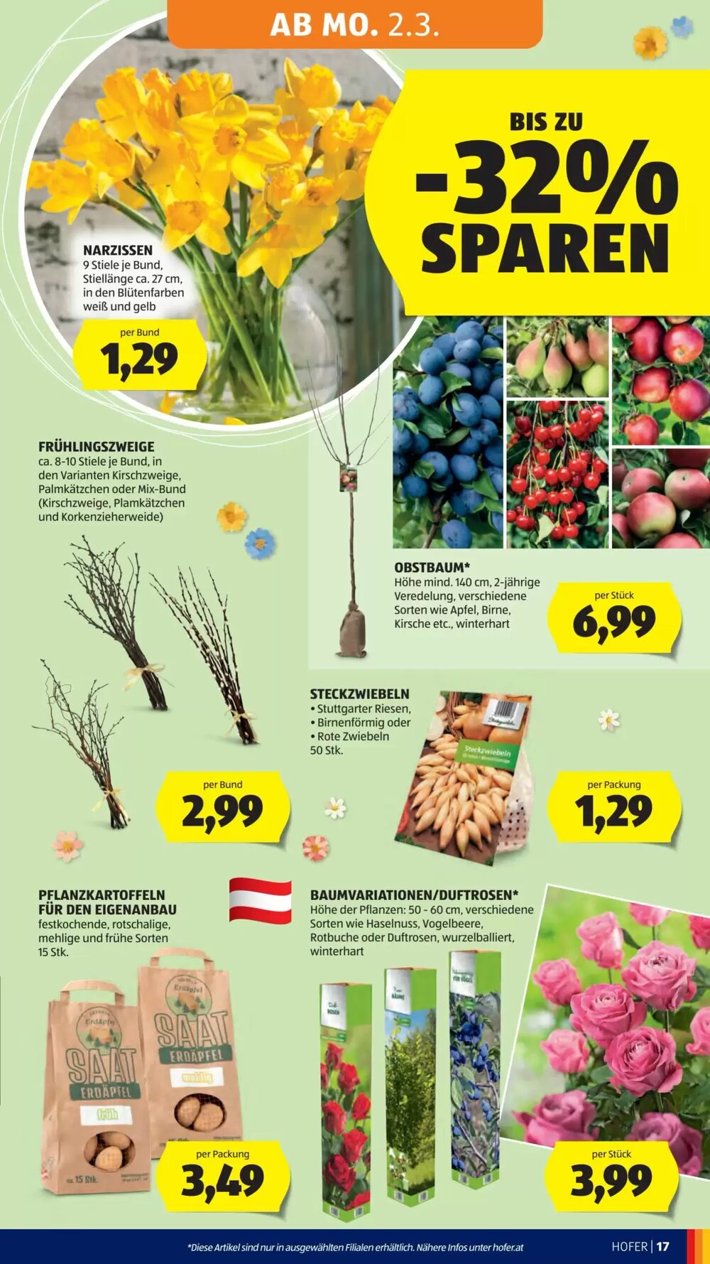 Hofer Flugblatt (ab 25.02.2026) - Angebote und Prospekt - Seite 21