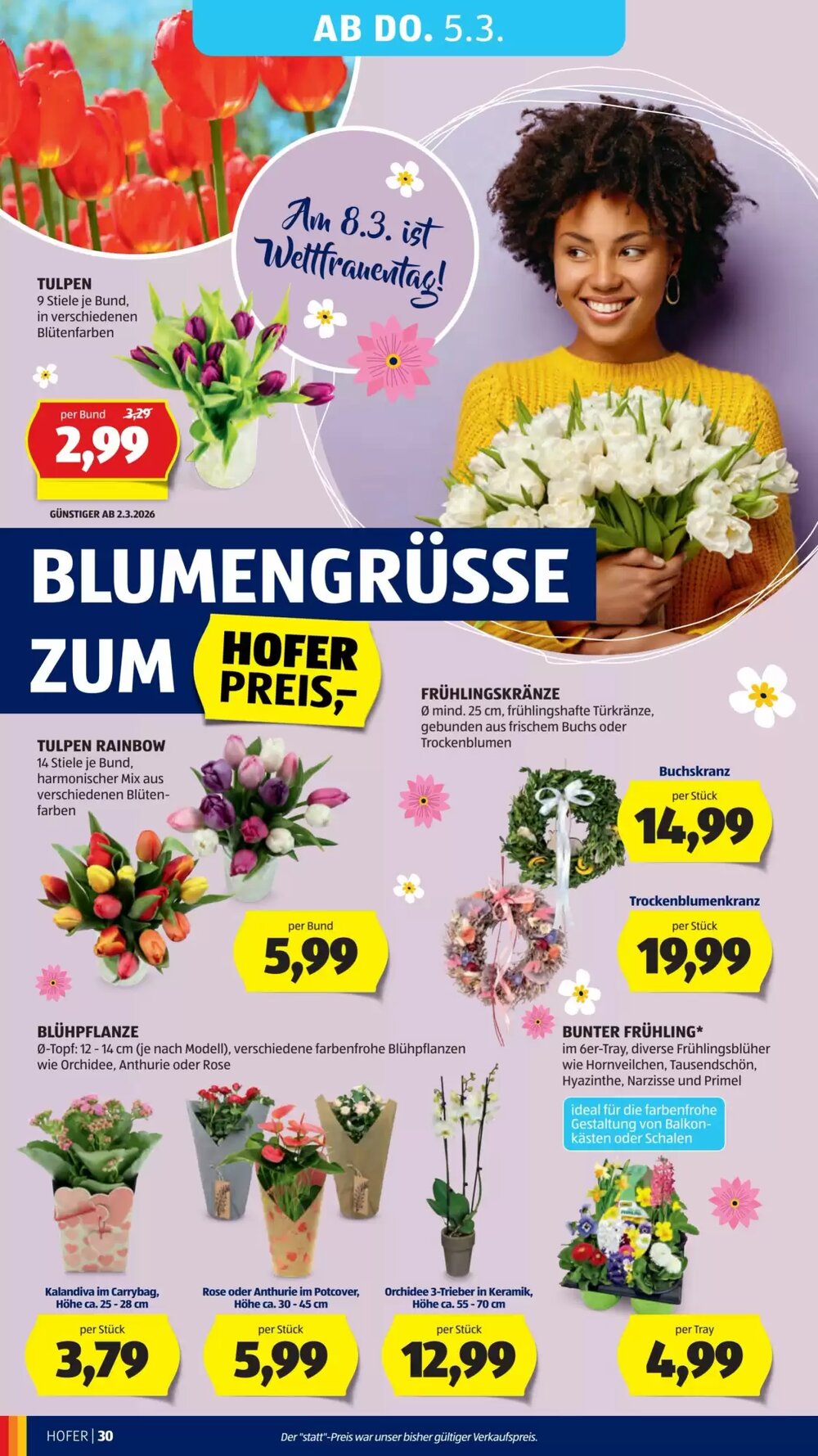 Hofer Flugblatt (ab 25.02.2026) - Angebote und Prospekt - Seite 34