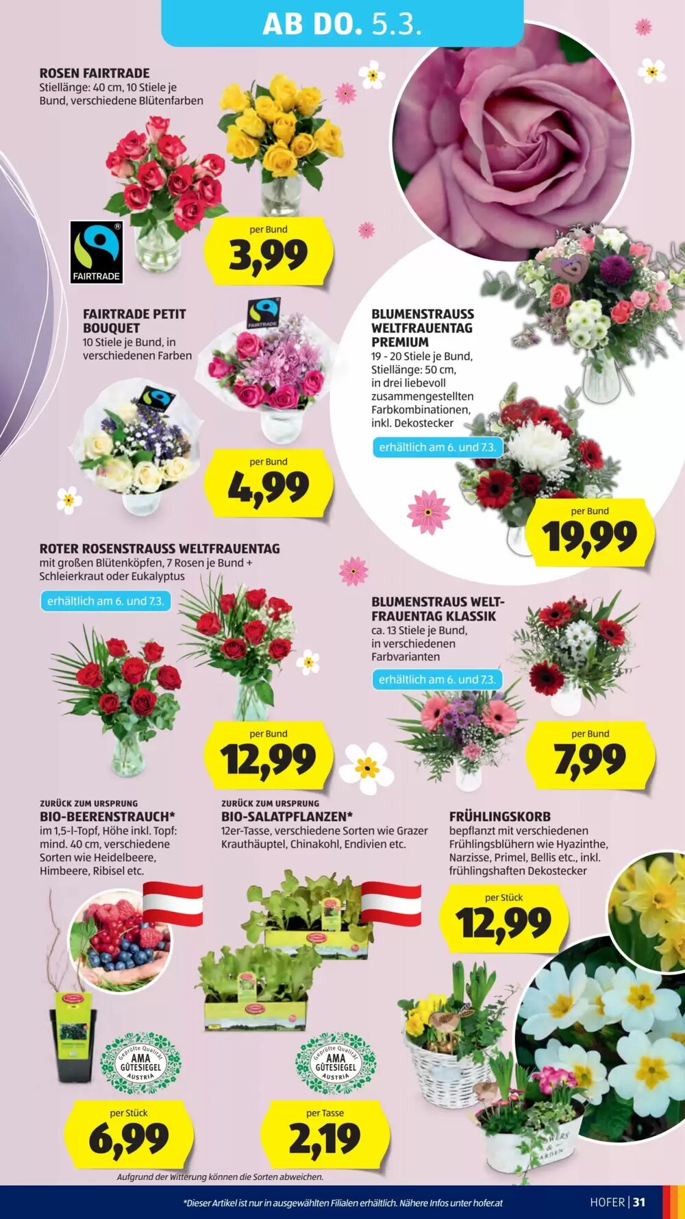 Hofer Flugblatt (ab 25.02.2026) - Angebote und Prospekt - Seite 35